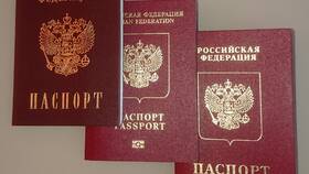 Чем предусмотрен паспорт гражданина РФ в Дочки и Сыночки