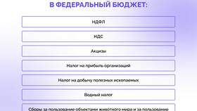 Что дают налоги? в Дочки и Сыночки