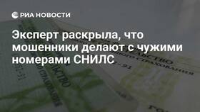 Что делать, если украли СНИЛС в Дочки и Сыночки