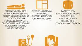 Что нужно, чтобы оказать услугу в Дочки и Сыночки