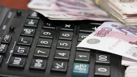 Что такое номинальные доходы семьи в Дочки и Сыночки