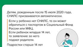 Что такое СНИЛС в Дочки и Сыночки