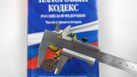 Декларация по НДПИ: что это в Дочки и Сыночки