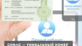 Для чего может быть использован номер СНИЛС в Дочки и Сыночки
