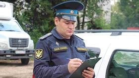 Для чего нужна ФССП России в Дочки и Сыночки