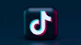 Как добавить стикеры в TikTok в Дочки и Сыночки