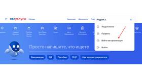 Как добавить юридическое лицо на Госуслугах в Дочки и Сыночки