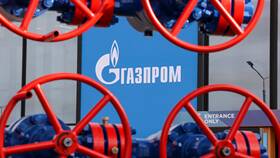 Как купить акции Газпрома частному лицу в Дочки и Сыночки