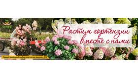 Как называют продавца цветов в Дочки и Сыночки