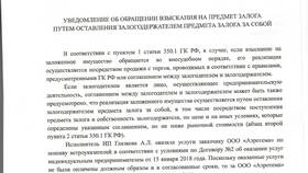 Как обратить взыскание на предмет залога в Дочки и Сыночки