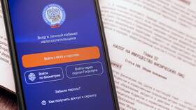 Как оплатить налоги физическому лицу в Дочки и Сыночки
