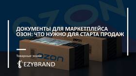 Как открыть и использовать калькулятор продавца на Ozon в Дочки и Сыночки