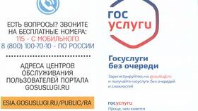 Как подать резюме через портал Госуслуги в Дочки и Сыночки
