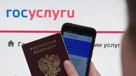 Как подать заявление на ИНН через Госуслуги в Дочки и Сыночки