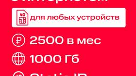 Как подключить белый IP у МТС в Дочки и Сыночки