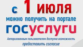 Как получить налоговые документы через Госуслуги в Дочки и Сыночки