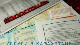 Как получить СНИЛС в Казахстане в Дочки и Сыночки