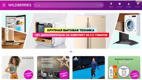 Как пользоваться интернет-магазином Wildberries в Дочки и Сыночки