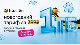 Как пополнить интернет-трафик на Билайне в Дочки и Сыночки