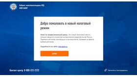 Как работать на Ozon самозанятому в Дочки и Сыночки