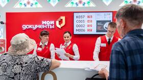 Как распечатать документ в МФЦ в Дочки и Сыночки