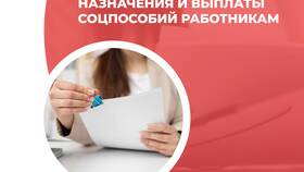 Как СФР проверяет выплаты в Дочки и Сыночки