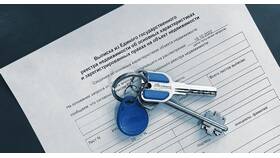 Как узнать свой ЕГРН ИП в Дочки и Сыночки