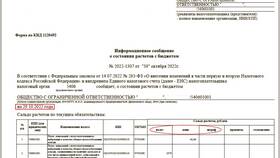 Как узнать за что начислены пени по налогам в Дочки и Сыночки