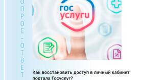Как восстановить пароль от Госуслуг в Дочки и Сыночки