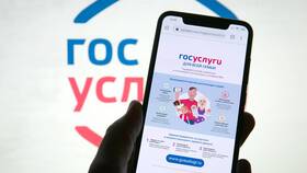 Как заказать справку через портал Госуслуги в Дочки и Сыночки