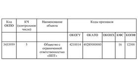 ОКПО: что это такое и зачем нужно ИП в Дочки и Сыночки