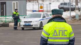 Почему не получается оплатить штраф на Госуслугах в Дочки и Сыночки
