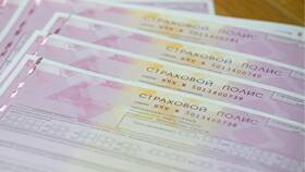 Почему поднялась страховка в Дочки и Сыночки