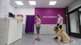 Причины долгой доставки заказов на Wildberries в Дочки и Сыночки