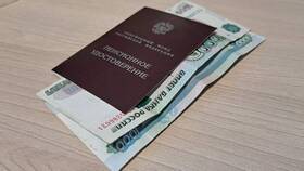 Зачем нужны выплаты пенсионерам в Дочки и Сыночки