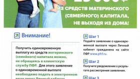 Зачем ПФР нужен банк в Дочки и Сыночки