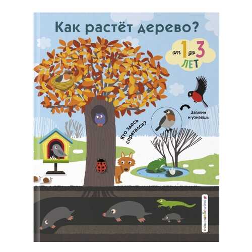 Как растет дерево? в Дочки и Сыночки